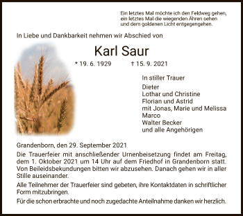 Traueranzeige von Karl Saur von WRS