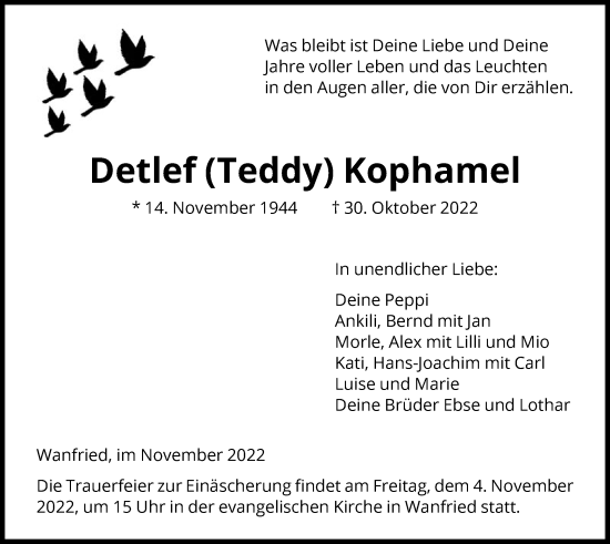 Traueranzeige von Detlef Kophamel von WRS